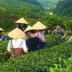 Price students in China touring a field wearing bamboo straw hats