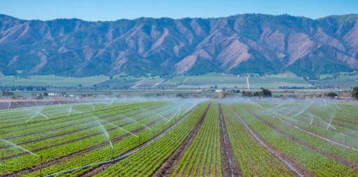 New research reveals optimism and obstacles as California strives for sustainable groundwater use