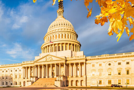 Read more about Price Policy Semester in D.C. 