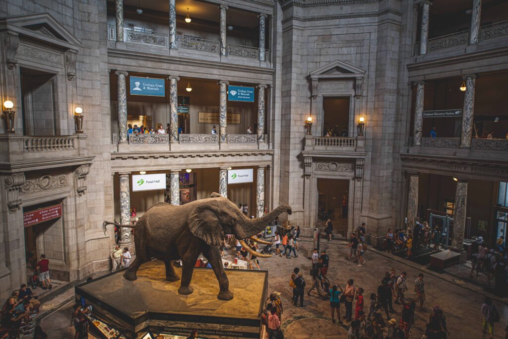 Natural History Museum