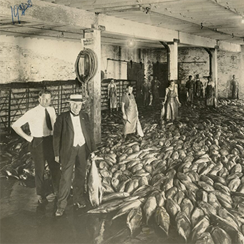 photograph of people working in a fish processing plant on Terminal Island