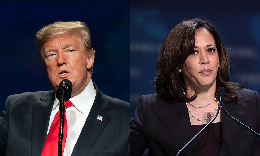 Headshots of Donald Trump and Kamala Harris