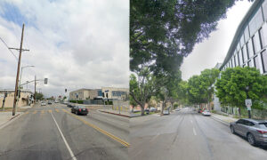 Read: Study: South LA leaders have diverse needs surrounding trees in their communities