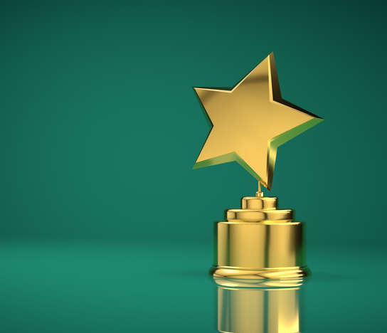 Read: Academic honors for the MPA online program and student capstone reports